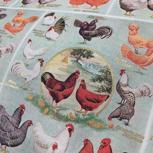 Easter Chicks and Hens Italian Print Paper ~ Rossi Italy